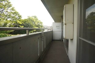 本城駅 徒歩7分 2階の物件内観写真